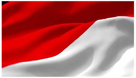 Gambar Bendera Merah Putih Berkibar Bergerak #wajibbaca Cerita Dibalik
