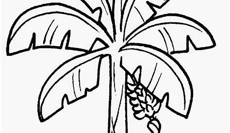 Gambar Pohon Pisang Ijo | Edu-Paperplane