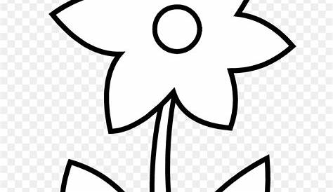 Gambar Bunga Di Pot Hitam Putih - Gambar Bagian Tumbuhan