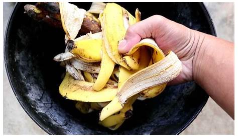 Saging (Banana): Mga Nakakabilib na Health Benefits. Alamin!