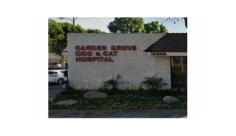 Garden Grove Cat And Dog Hospital Animal Reproductive Services Veterinarian In