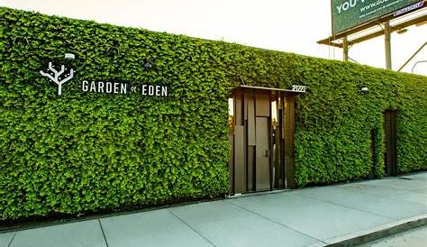 Garden of Eden, Livermore, CA 360 Virtual Tour for Cannabis store