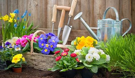 Bewährte Tipps für den Garten im Frühling - Perg