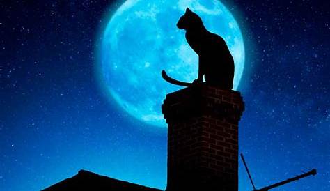Mythological creatures, Moon, Cats