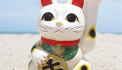 Gato chino ¿da suerte? ¿es japonés? Historia y significado | FeelCats