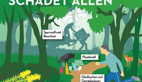 Gefahren im Wald - Schutzgemeinschaft Deutscher Wald - Kreisverband