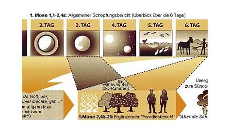 Genesis 1 and 2 Storyboard by seanbeaver