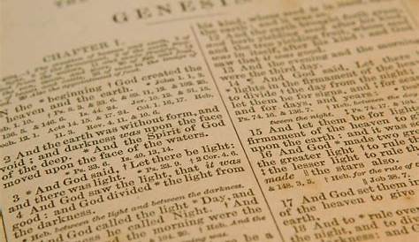Genesis Chapter 1: Bible Summary, Study and Questions