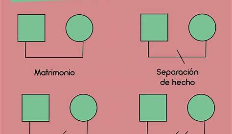 El genograma, una gran herramienta de trabajo en psicoterapia | Psyciencia