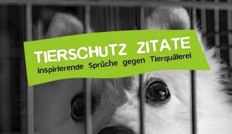 Demo gegen Tierschutz Gesetz 2017 - YouTube