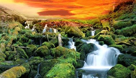 21+ Download Nature Gif Wallpaper - Basty Wallpaper