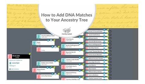 AncestryDNA Review (2021 UPDATE) Read This Before You Buy