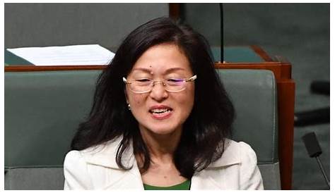 Gladys Liu Preselection Liberal Party Warned Of China Links Before
