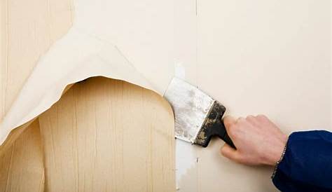 5 Easy Tips to Remove Wallpaper from Plaster - Howto