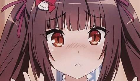 Anime GIF PFP Discord : Akko Colocar Lwa Emotes Engracadas Himitsu Wich