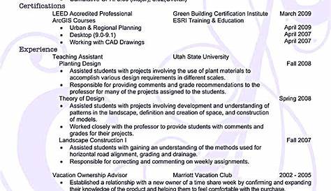 achievement based cv examples - Buscar con Google | Resume skills