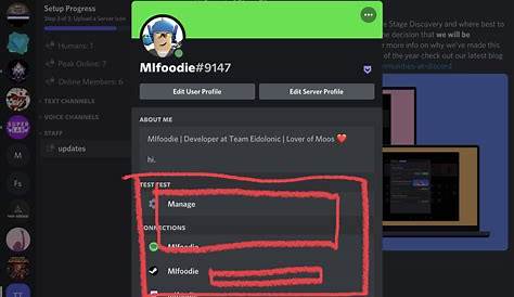 Cute Discord Bio Template