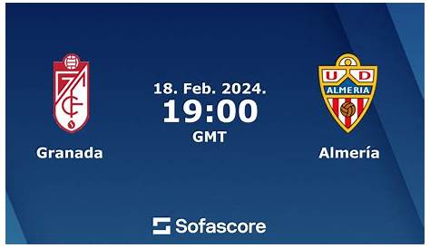 Almeria vs Granada 1-0 Gol Dubarbier Jornada 18 2013/2014 - AllGoalsLFP
