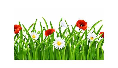 Grass with Flowers PNG Clip Art Image | Gallery Yopriceville - High