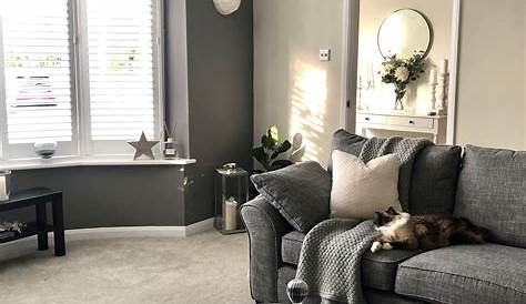 Gray Couch Living Room Wall Colors