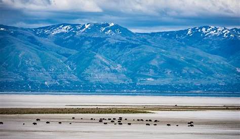 The Great Salt Lake Is Desolate. It’s Also Divine. - Outside Online