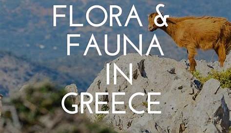 Fauna and flora of Greece
