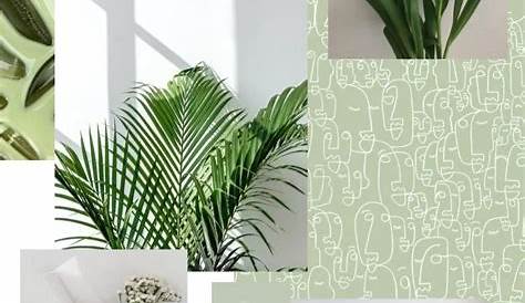 𝓟𝓲𝓷𝓽𝓮𝓻𝓮𝓼𝓽- 𝓱 𝓸 𝓷 𝓮 𝔂 𝔂🍯 | Green aesthetic, Plant aesthetic, White aesthetic