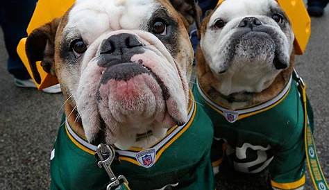 Green Bay Packers Dog Bed 30 Medium Round Pet Football Pug by cfbd
