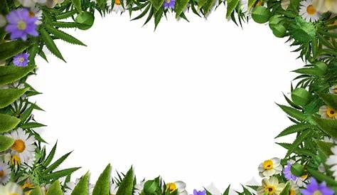 Watercolor Flower Frame PNG