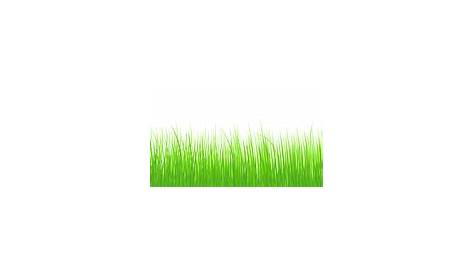 Green grass clipart 20 free Cliparts | Download images on Clipground 2024