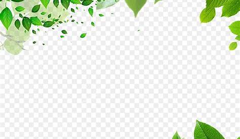 Green leaf border,Isolated on white background in 2020 | White