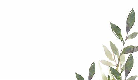 Green leaf element background illustration | premium image by rawpixel