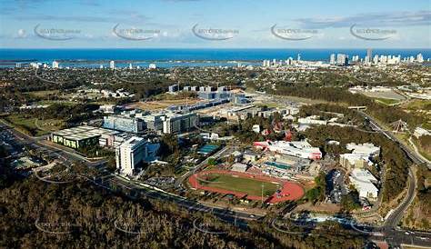 Griffith Gold Coast Address University - TEAN Study Abroad