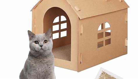 Griffoir Chat Carton Maison En Pour