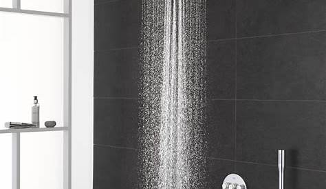 Grohe Rainshower Cosmopolitan Shower Head Handheld With Speedclean Reviews Wayfair s Handheld Hand Held