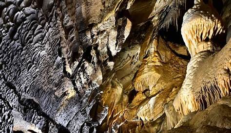 Top 23 des grottes, dans les entrailles de la Terre | Alghero, Mammoth