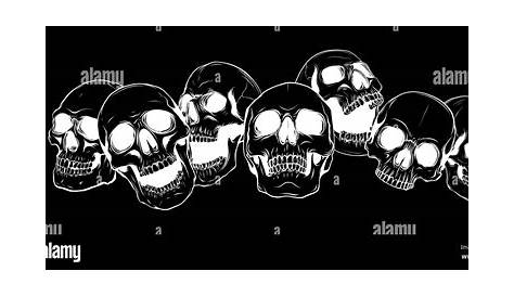 Skull Drawing Bone - skulls png download - 1867*2592 - Free Transparent