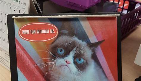 Grumpy Cat 2020 Wall Calendar: (funny Gag Gift Yearly Calendar, Cat