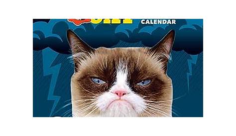 Buy Grumpy Cat 2019 Calendar at Mighty Ape Australia