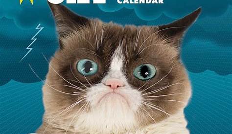 Grumpy cat calendar poster | Funny calendars, Grumpy cat, Grumpy cat humor