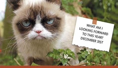 Grumpy Cat Calendar! » Loganberry Handmade