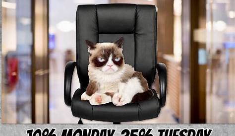 See the Best Of Funny Work Memes Grumpy Cat - Hilarious Pets Pictures