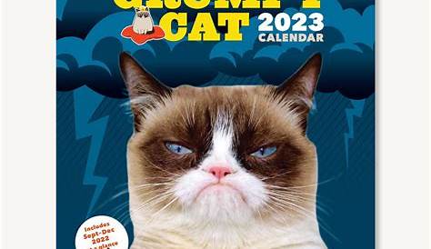 Grumpy Cat® 2021 Weekly Planner | Grumpy cat, Cat calendar, Cat lovers