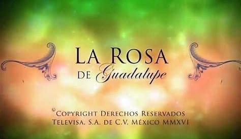 La Rosa De Guadalupe - YouTube