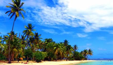 Top 10 des plus belles Plages de Guadeloupe (+ Carte et Photos)