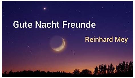 Reinhard Mey - Gute Nacht, Freunde (in drie talen!) | Unplugged - YouTube