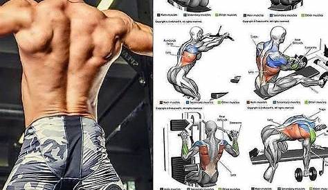 💪Mejores Ejercicios de espalda 2019 #gym #workoutmotivation #