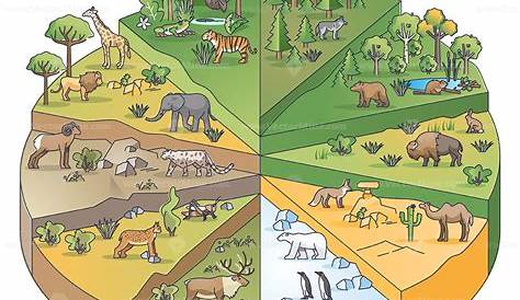 Habitat meaning | What is habitat | what is animals habitat