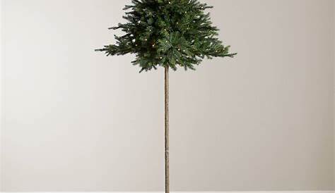 Half Parasol Xmas Tree People Rave About £45 'parasol' Pine From Argos, Which Is