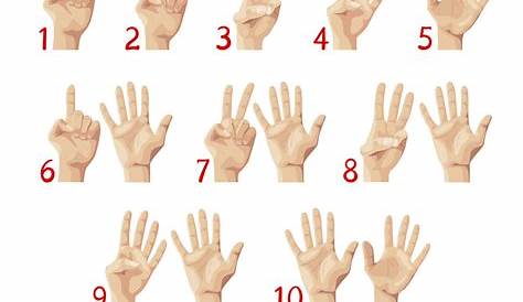 Finger Number Vector Art, Icons, and Graphics for Free Download